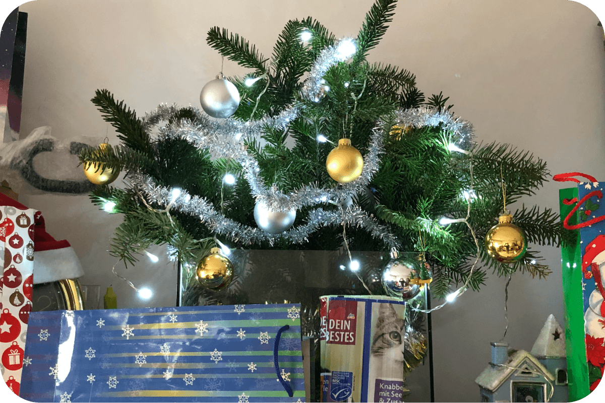 Decorated Christmas Tree Branches