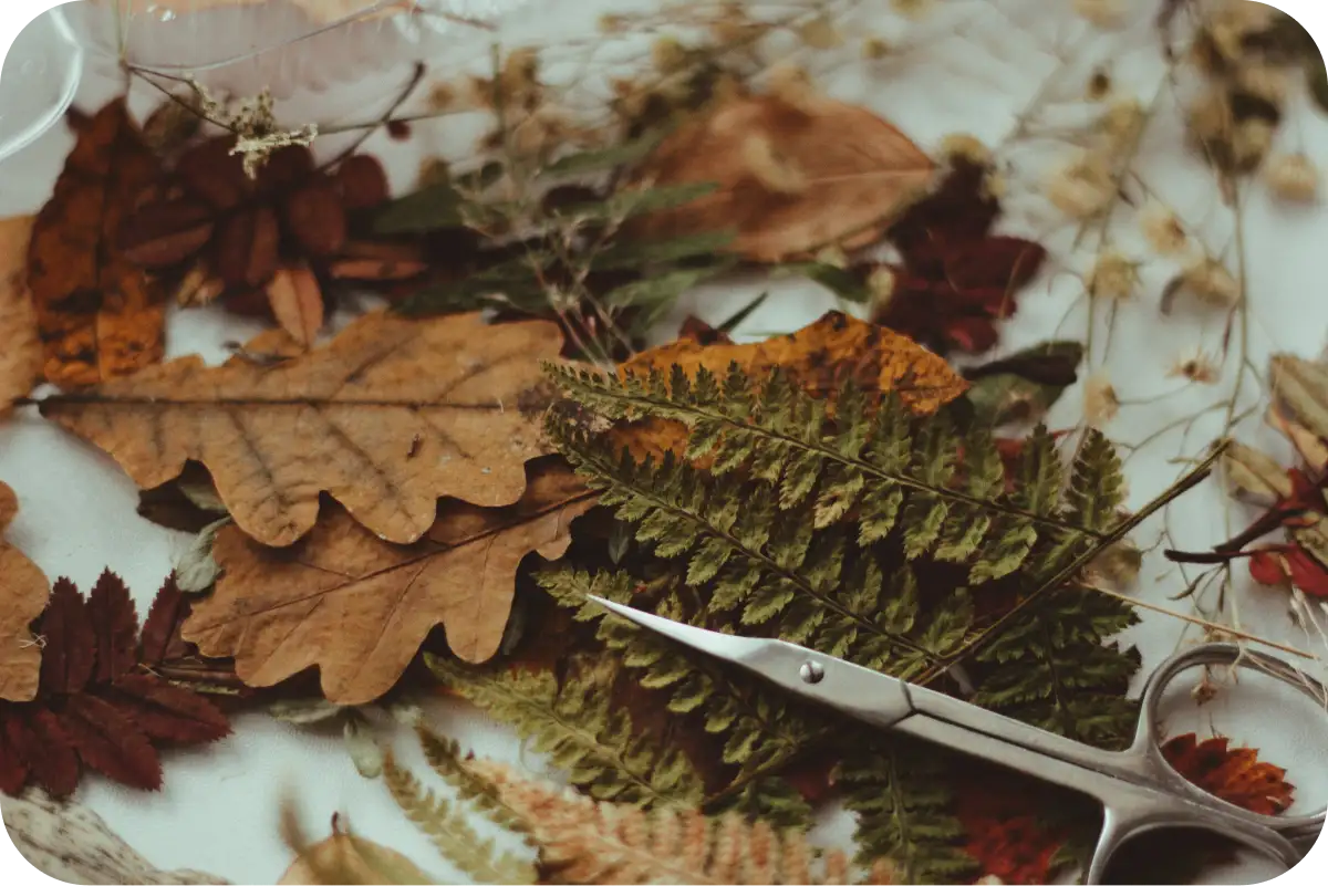 Incorporating Nature into Decor