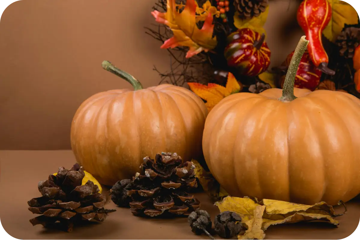 DIY Thanksgiving Decorations