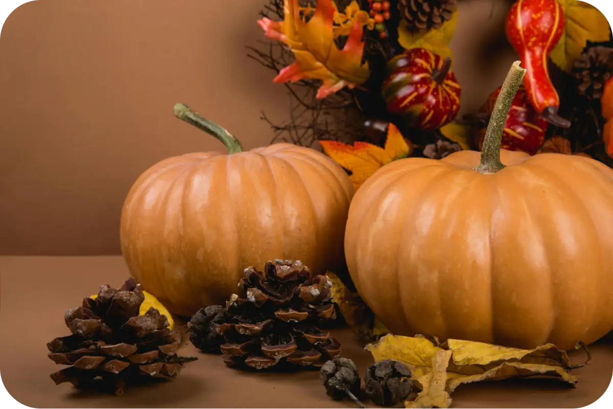Thanksgiving Decorations Ideas, Tips and Hacks (Your Complete Playbook)
