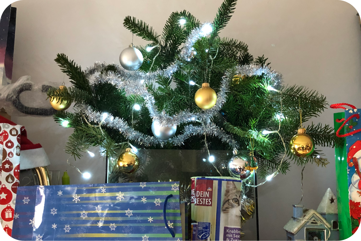 Innovative Christmas Tree Alternatives Ideas (for Small Spaces)
